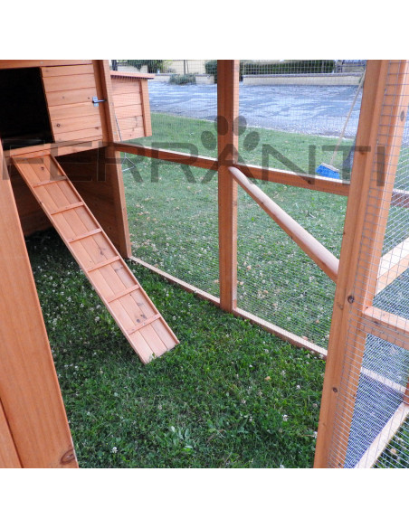 Intérieur de poulailler en bois avec échelle pour poules