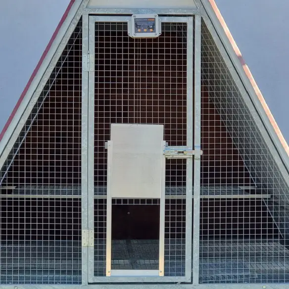 Ouvre-porte automatique monté avec porte ouverte pour poulailler