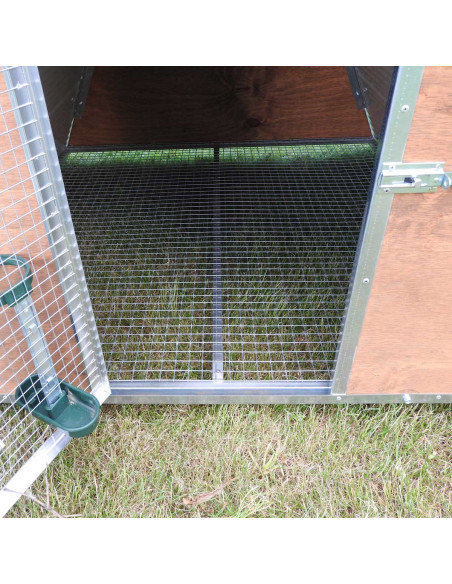 Entrée et fond surélevé du petit poulailler isolé pour 8 poules