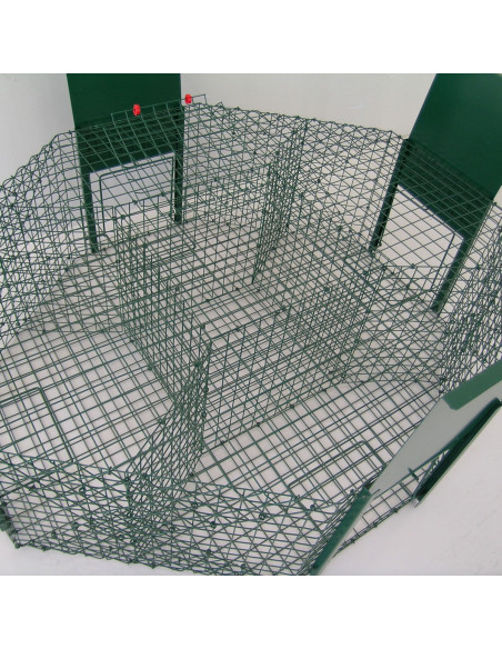 Piège pour pies corbeaux et corvidés modèle Larsen à 4 entrées