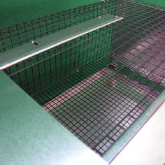 Cage pour cailles d’engraissement avec accessoires 2