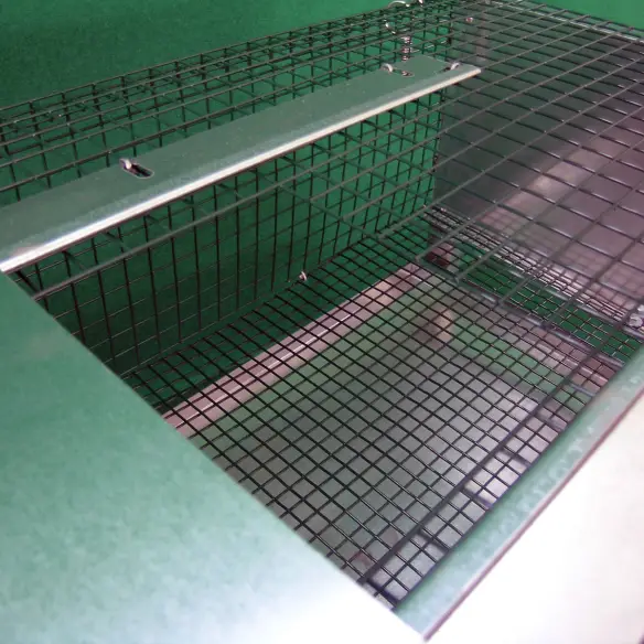 Partie supérieure de la cage pour cailles d’engraissement