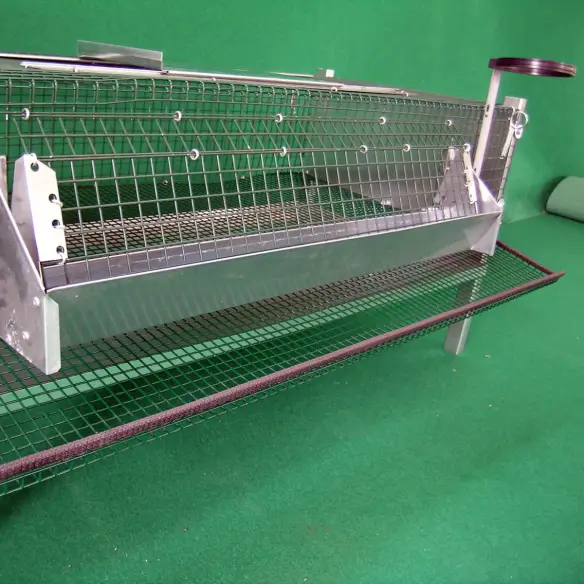Fond collecteur d’œufs dans cage pour cailles pondeuses