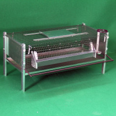 Cage pour cailles pondeuses avec fond collecteur