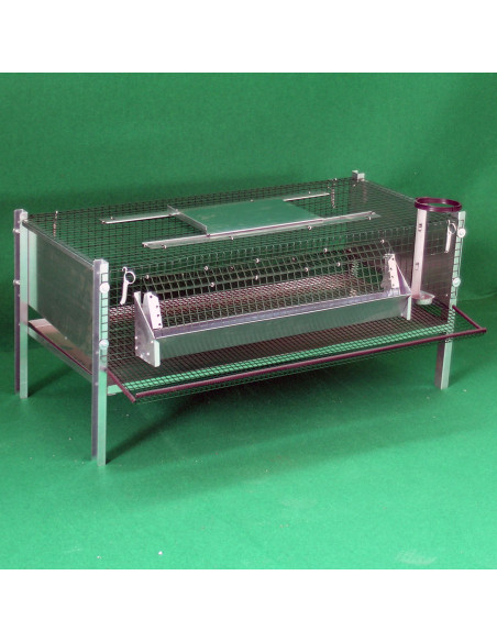 Cage pour cailles pondeuses avec fond collecteur