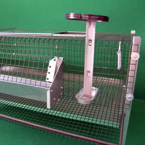 Mangeoires et abreuvoirs pour cage de cailles pondeuses