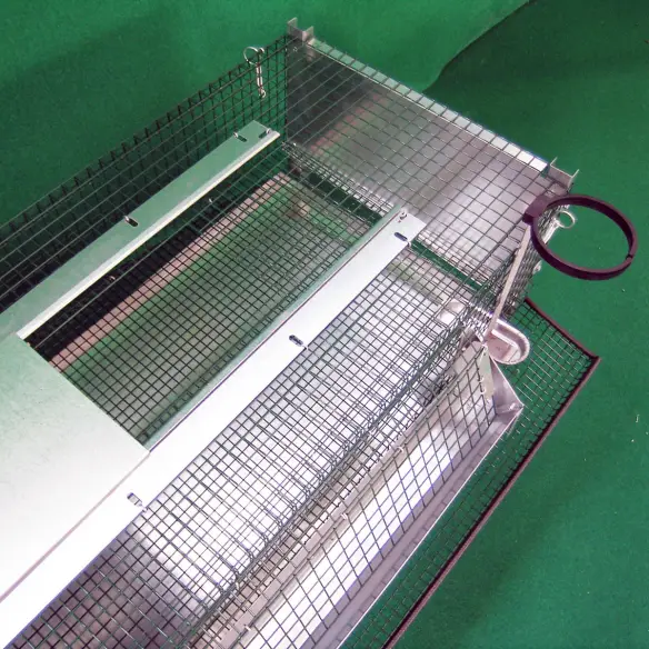 Porte supérieure de la cage pour cailles pondeuses