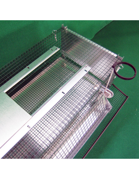 Porte supérieure de la cage pour cailles pondeuses