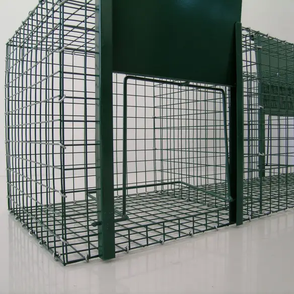 Entrée du piège modèle Larsen pour corvidés