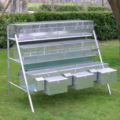Clapier pour 3 lapines et 12 lapins d’engraissement avec accessoires inclus