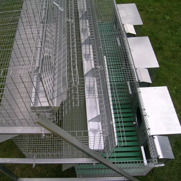 Clapier pour 3 lapines et 12 lapins d’engraissement avec accessoires inclus