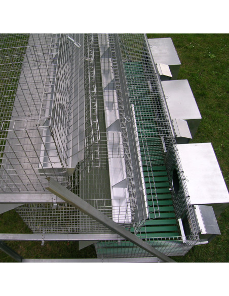 Clapier pour 3 lapines et 12 lapins d’engraissement avec accessoires inclus
