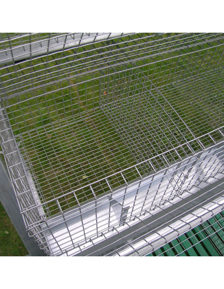 Compartiment d’engraissement dans cage à lapins