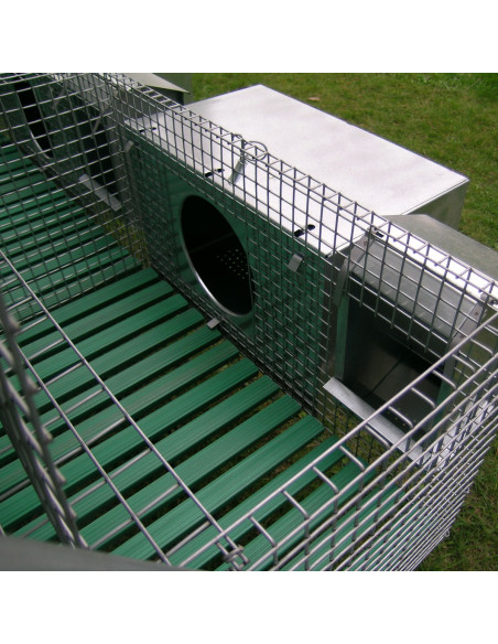 Compartiment pour lapines dans cage à lapins d’engraissement
