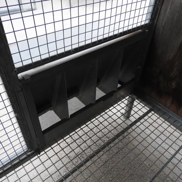 Mangeoire avec filtre pour pigeonnier volière