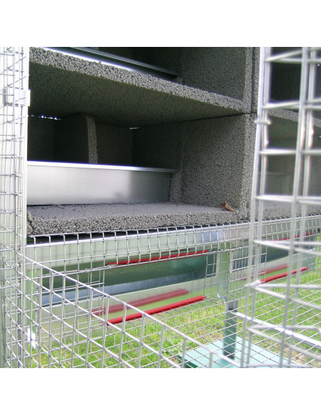 Intérieur du pigeonnier volière pour 6 couples de pigeons Intérieur du pigeonnier volière pour 6 couples de pigeons