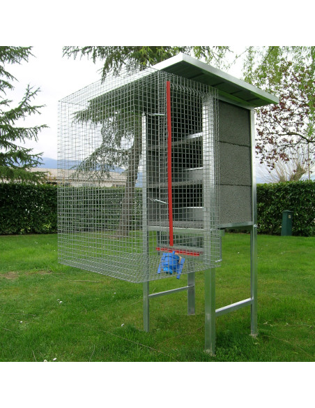 Pigeonnier volière pour 3 couples de pigeons avec nids et accessoires