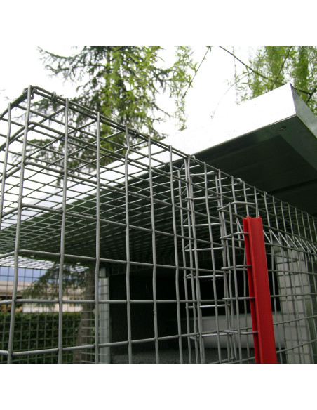 Pigeonnier volière pour 3 couples de pigeons avec nids et accessoires