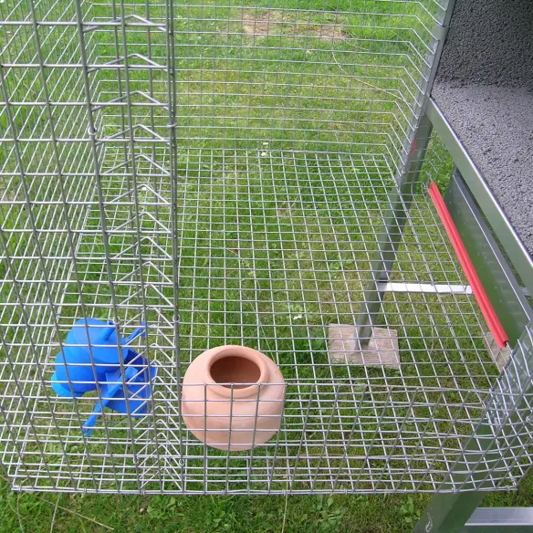 Intérieur du pigeonnier volière pour 3 couples de pigeons
