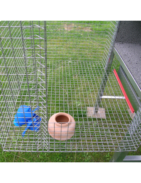 Intérieur du pigeonnier volière pour 3 couples de pigeons