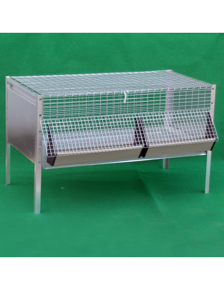 Cage pour poussins en treillis galvanisé avec accessoires