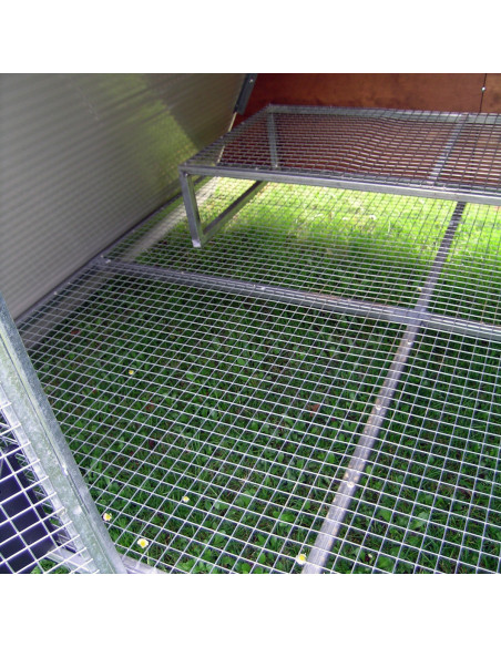 Fond surélevé avec perchoir du poulailler surélevé isolé Fond surélevé avec perchoir du poulailler surélevé isolé