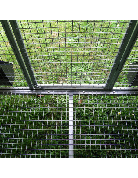 Fond surélevé du poulailler surélevé isolé pour poules Fond surélevé du poulailler surélevé isolé pour poules