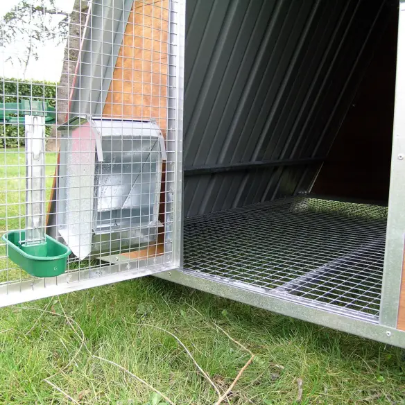 Entrée et fond surélevé du petit poulailler pour 8 poules