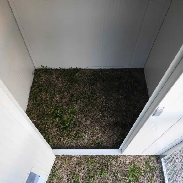 Intérieur abri chat extérieur isolé