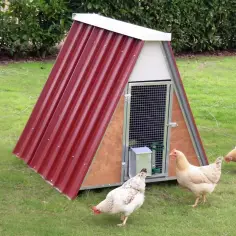 Poulailleren métal galvanisé pour 8 poules