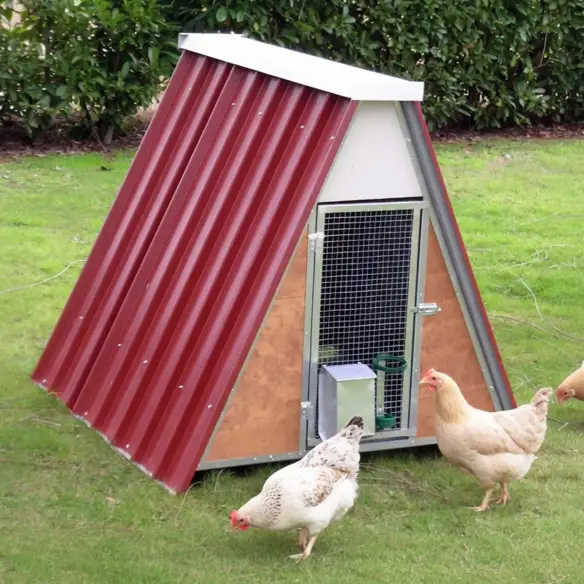 Poulailleren métal galvanisé pour 8 poules