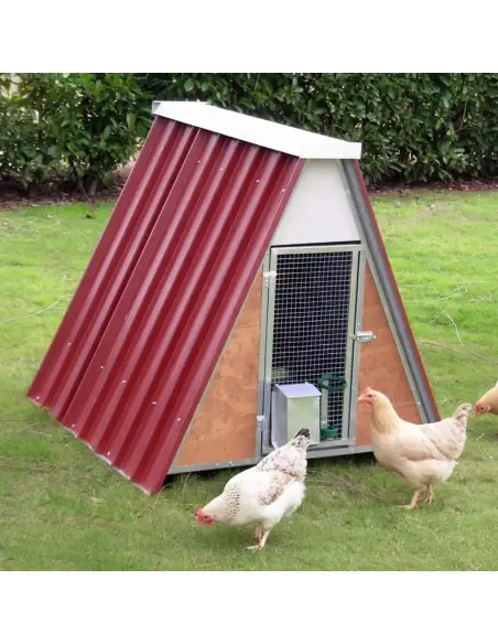 Poulailleren métal galvanisé pour 8 poules