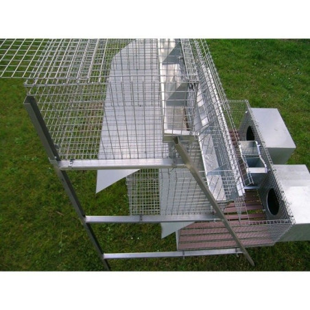 Clapier 2 Lapines et 8 Engraissement avec Accessoires | Ferranti