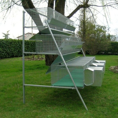 Clapier pour 3 Lapines et 12 Engraissement avec Accessoires | Ferranti