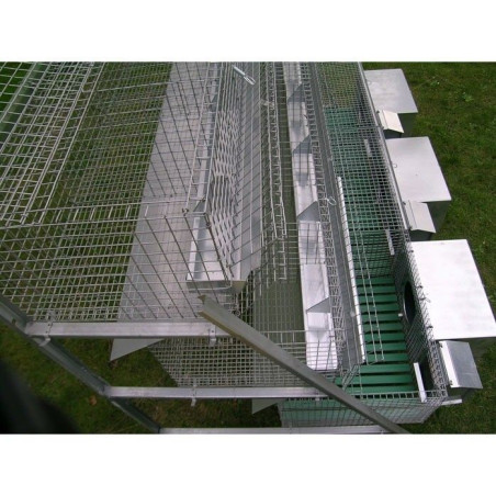 Clapier pour 3 Lapines et 12 Engraissement avec Accessoires | Ferranti