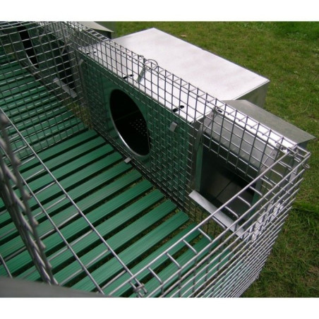 Clapier pour 3 Lapines et 12 Engraissement avec Accessoires | Ferranti