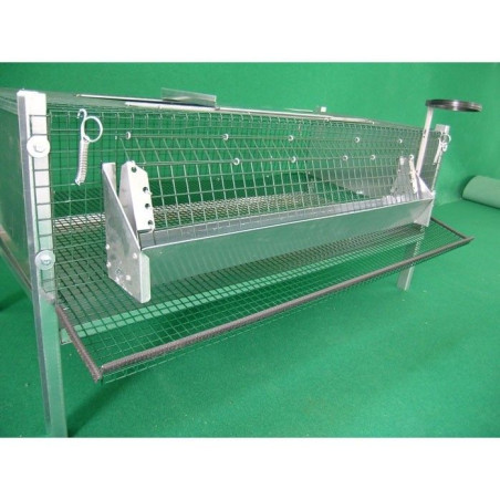 Cage pour Cailles Pondeuses avec Collecteur et Accessoires | Ferranti