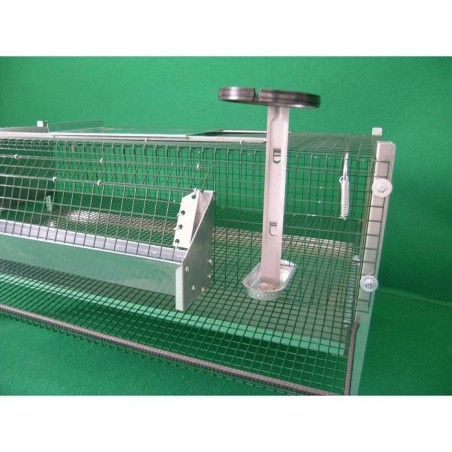 Cage pour Cailles Pondeuses avec Collecteur et Accessoires | Ferranti