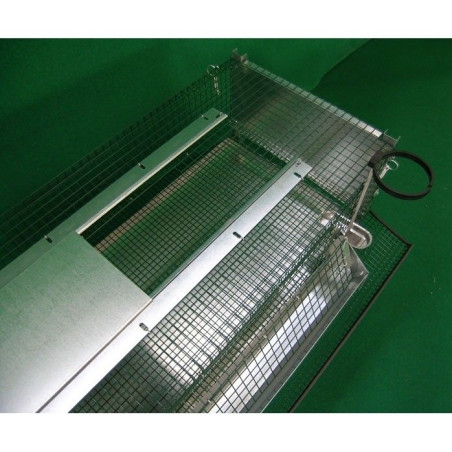 Cage pour Cailles Pondeuses avec Collecteur et Accessoires | Ferranti