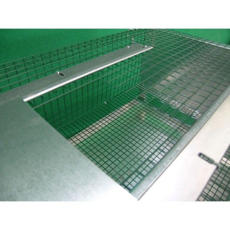 Cage pour Cailles d'Engraissement avec Accessoires | Ferranti