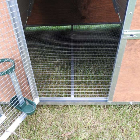 Petit Poulailler Isolé pour 8 Poules avec Fond Surélevé | Ferranti