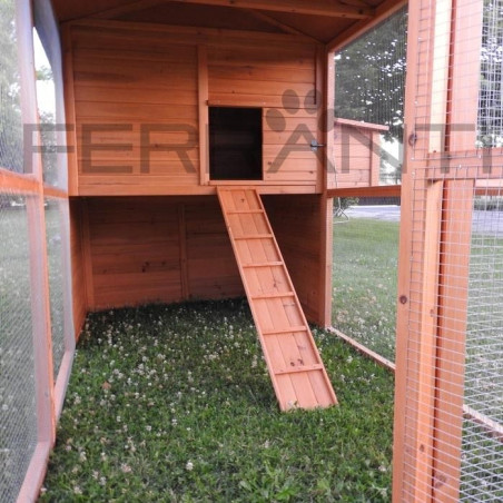 Poulailler en Bois pour 10 Poules avec Nid Triple et Accessoires | Ferranti